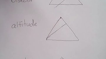Identifying Perpendicular Bisectors, Altitudes, Angle Bisectors, and Medians