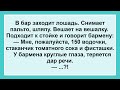 Анекдоты смешные до слёз! Веселый Жизненный Анекдот Дня! Лошадь в баре и Бармен!