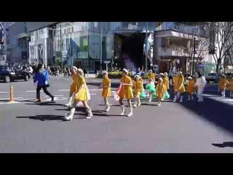 明治神宮建国記念 建国祭2017 奉祝 パレード 表参道 No 1子供達が 明治神宮建国記念 建国祭2017 奉祝 パレード 表参道 No 1子供達が