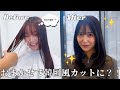 韓国ヘアにしたい人必見❗️20cmバッサリカットで大変身💇♀️【韓国美容院】