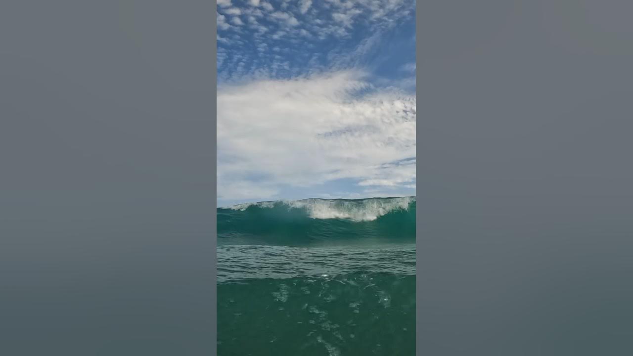 Duck diving a boogie… bodyboarding shortsfeed shorts YouTube