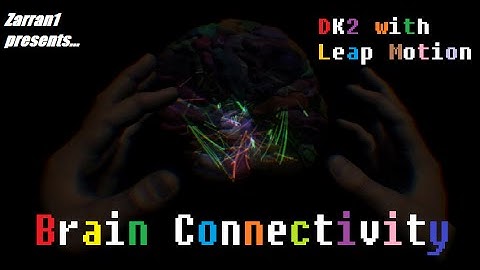 Oculus Rift DK2 with Leap Motion: Brain Connectivity