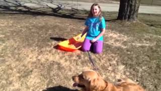 How to make a dog sled