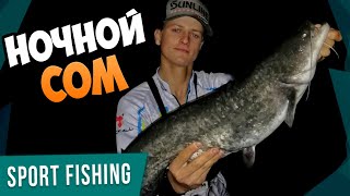 Вечерний ЖОР судака и трофейный СОМ на спиннинг! Нереальная рыбалка на реке осенью.