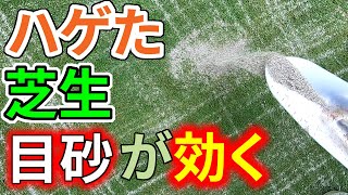 【芝生のハゲには】目砂が特効薬土より砂が良いわけ