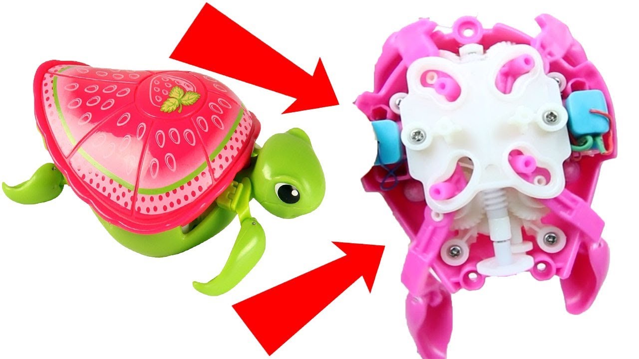 little live pets butterfly house with glamour wings Opening a Robotic Turtle! What's Inside??