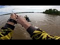 Ikan Kakap Besar Penunggu Muara Sungai