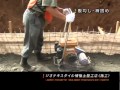 ジオテキスタイル補強土壁工法・施工手順 の動画、YouTube動画。