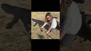 Bow Drill Fire - EXPOSED! Primitive Cooking Fail #shorts #shortsfeed
