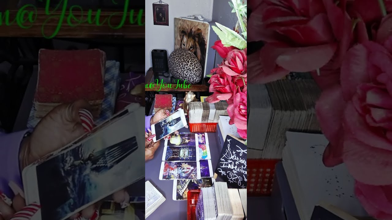 🤣Вы напугали этих 