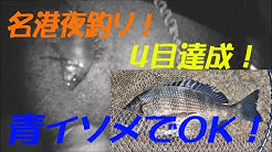 Handy Fishing Life Of Japan Youtube Handy Fishing Life Of Japan Youtube