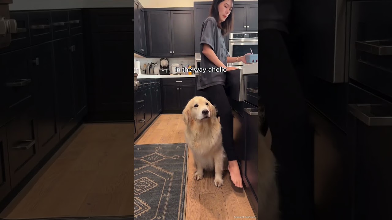 Just Some minor inconvenience in the way 😗!......