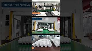 Egg Tray Molded Pulp Trimming Machine | Tableware Die Cutting Press for Fiber Packaging