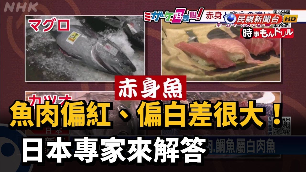 魚肉偏紅 偏白差很大 日本專家來解答 民視新聞網 魚肉偏紅 偏白差很大 日本專家來解答 民視新聞網