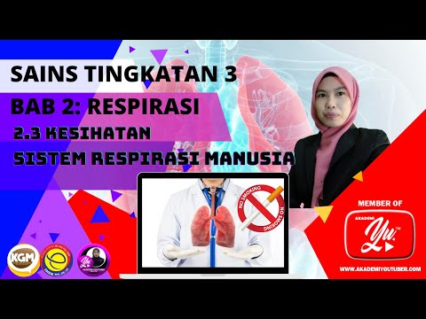 Video: Kesan Asap Cat Pada Kesihatan Anda & Cara Mengurangkan Pendedahan