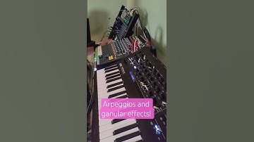 Minilogue arp meets granular synthesis 🤯 #SoundDesign #Granular #Arpeggiator #Synth #MusicProduction