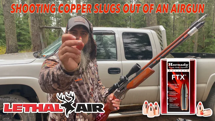 FTX Hornady ammo out of a big bore airgun