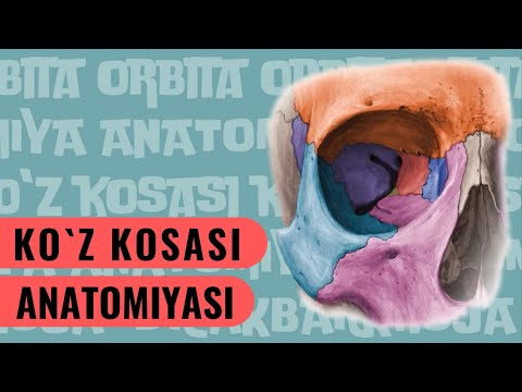 Video: Kdo So, Rekorderji - Dolgoživci