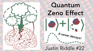 #22 - Quantum Zeno Effect: using your quantum mind to change your digital brain