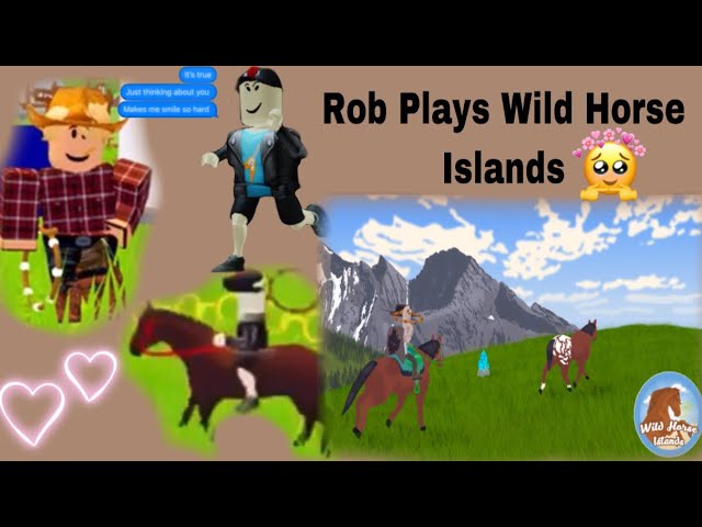 🐝はち🐝  🔴 on X: Playing Wild horse islands on roblox