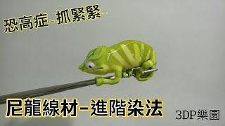 【3D列印教程-專欄導覽】尼龍線材-染色玩法(進階)-變色龍