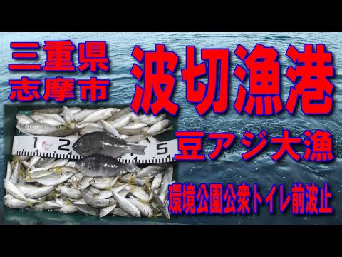 #30三重県波切漁港環境公園公衆トイレ前波止豆アジ大漁良い型のコッパグレ夕方から入れ食い状態釣りポイント釣りスポット釣り場車横付け釣り波止ファミリー家族連れ磯遊び釣りに良し夕方から入れ食い状態