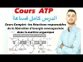 Cours complet les ractions responsables de la libration dnergie atp respiration fermentation