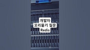개발자 기술 면접을 위한 꼬리물기 질문 - Redis #개발자 #기술면접 #coding #programming