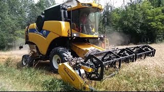 Agriculture Real | New Holland CX 5090 Hillside & Cressoni CRX | Harvesting Wheat 2016 | ArmstakeTV