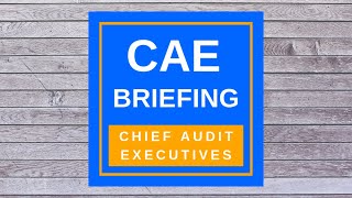 CAE Briefing - E11