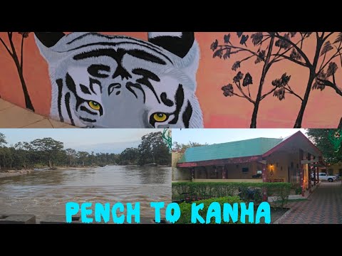 Pench To Kanha By Road  🐅🐾