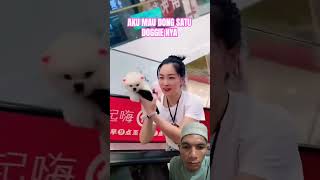 Doggie lucu #rizema #react #doggie #ytshorts #shorts #short