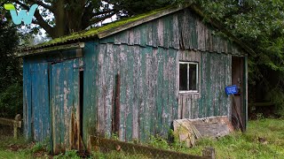 The US President couldn't believe his eyes when he saw a young man renovating the wooden house