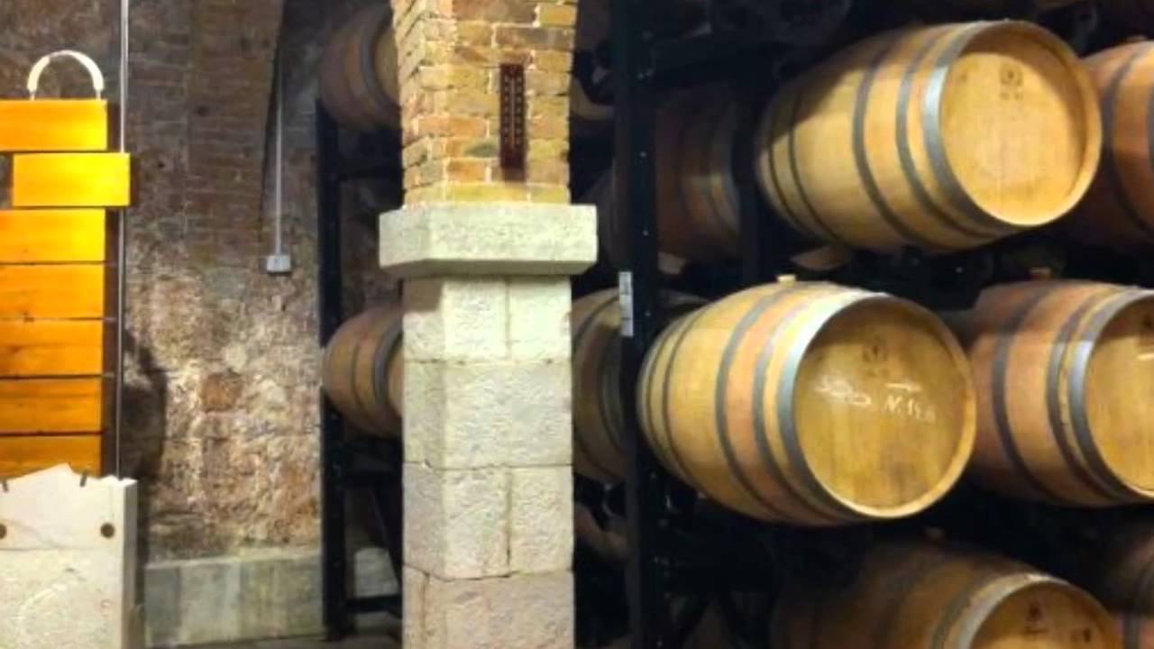 Jako Vino, Stina Wines, Bol, Croacia. Excellent Plavac Mali