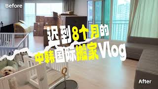 迟到8个月的中韩国际搬家Vlog