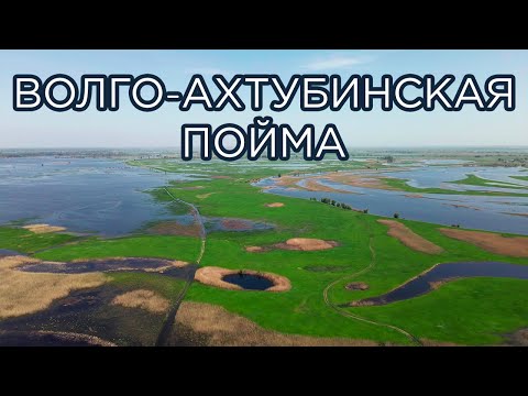 Волго-Ахтубинская пойма. Природный парк