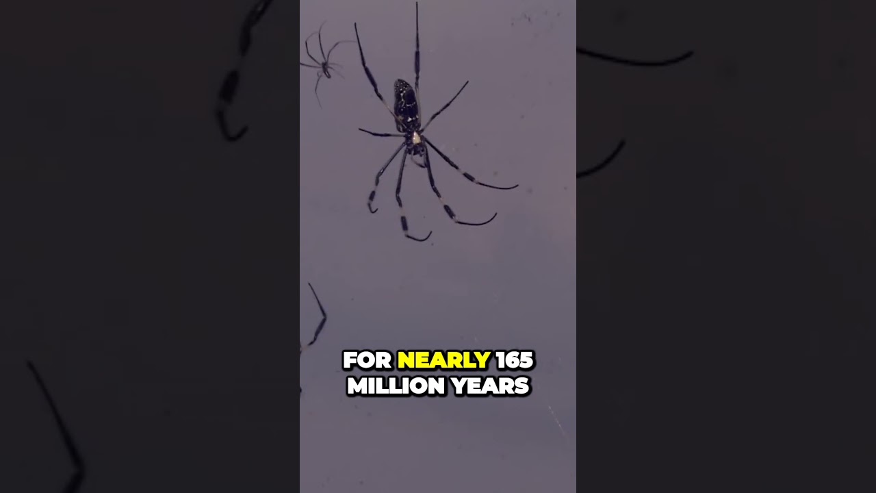 Uncovering the Insane Secrets of the Oldest Spider Family