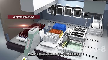 Natch S demo  draft version