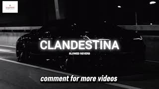 Clandestina - Emma Peters Like A Joint More You Listen More You Enjoy