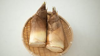 How to cook Fresh  BAMBOO SHOOT  | Perfect Guide | Japanese spring delicacy | Takenoko たけのこの茹で方