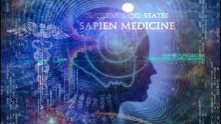 Subconscious Limits Removal 2.0 by Sapien Medicine
