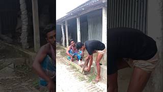 ডিজিটাল কাটার #funnyvideos #short #viral @highdiverfly