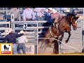 Bronc Riding 🐴 2023 West Texas Ranch Rodeo | Friday