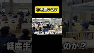 牛を買いに茨城県へ❗️果たして帰るのか❓ #和牛 #動物 #茨城県 #買い物