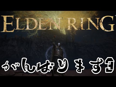 【エルデンリング】コタロウさんと壱田リタくん引き連れてがんばります