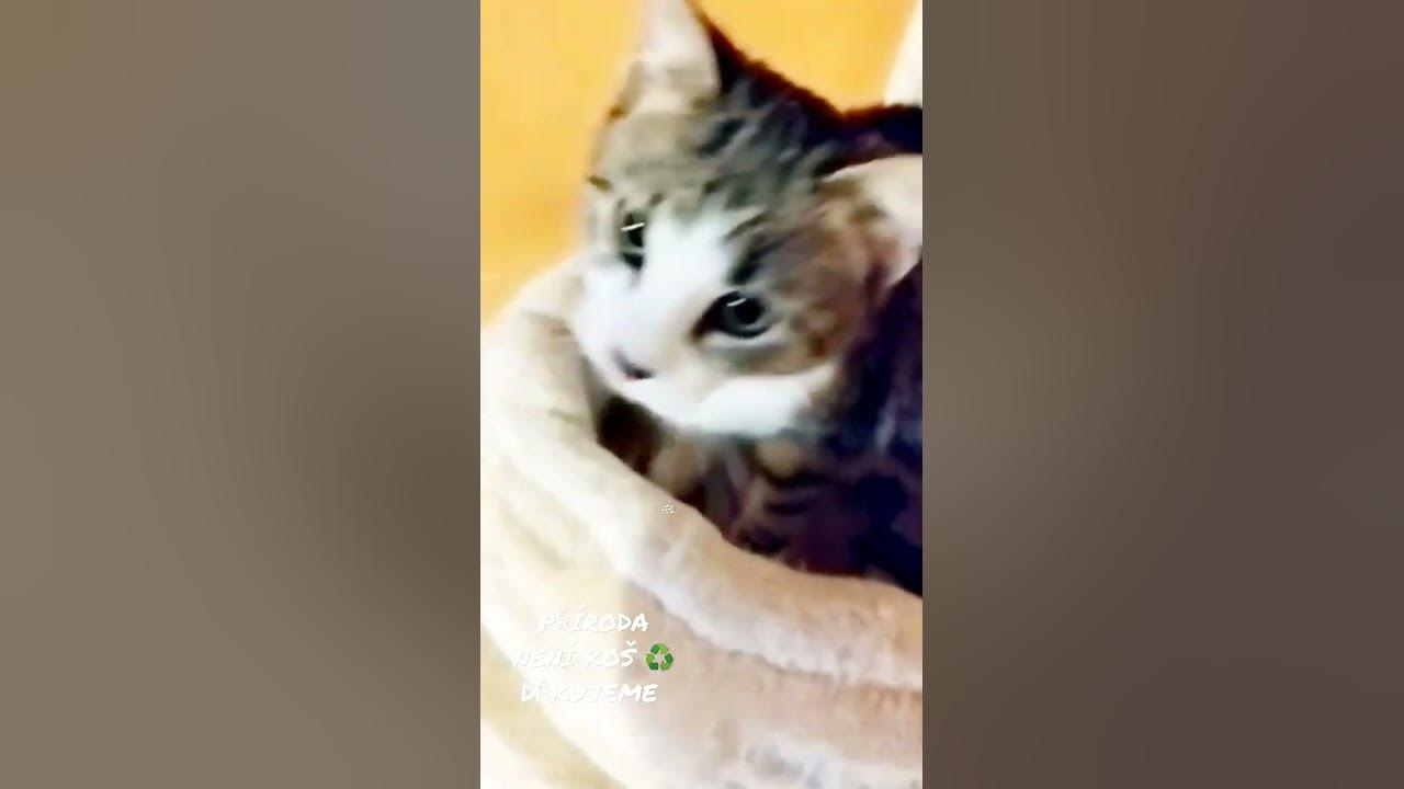 M Ň A M K A - YouTube