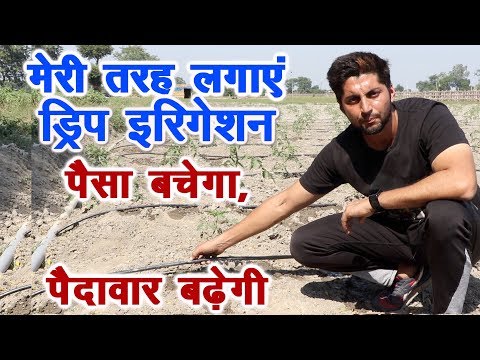 वीडियो: मार्केट शेयर (मार्केट शेयर) की गणना कैसे करें: 10 कदम