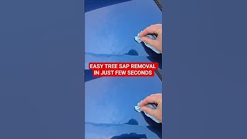 QUICK & EASY TREE SAP REMOVAL #automobile #diy #mechanic #tips #detailing