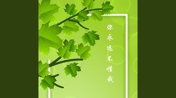 你永远不懂我