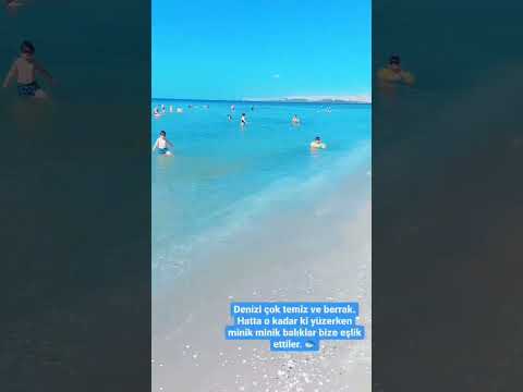 Video: Michigan'daki En İyi Plaj Noktaları